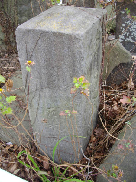 image0005
