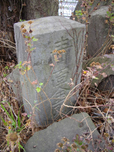 image0006