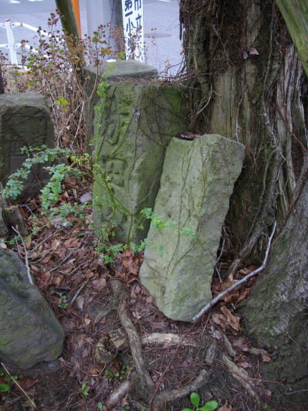 image0019