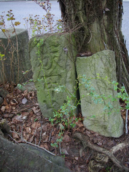 image0020