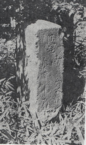 image0023