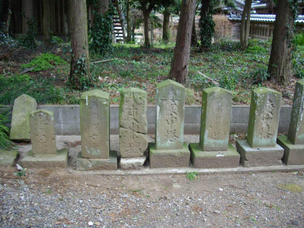 image0048