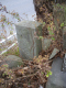 image0004