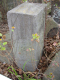 image0005