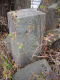 image0006