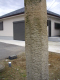 image0013