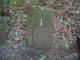 image0052