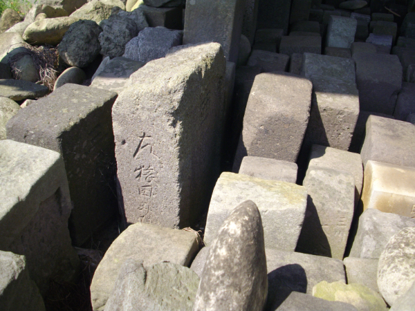 image0007