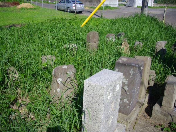 image0009