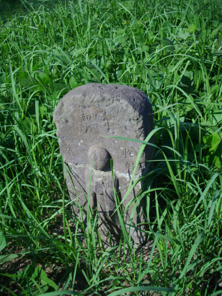 image0010