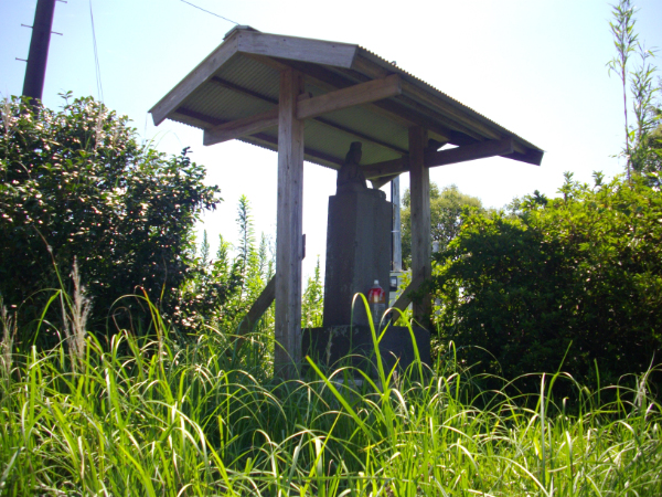 image0019