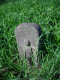 image0010