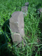 image0011