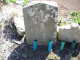 image0049