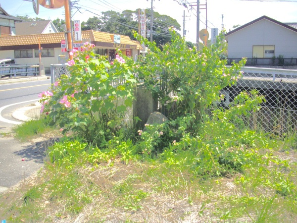 image0005