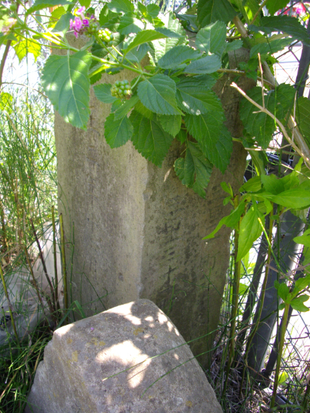 image0007