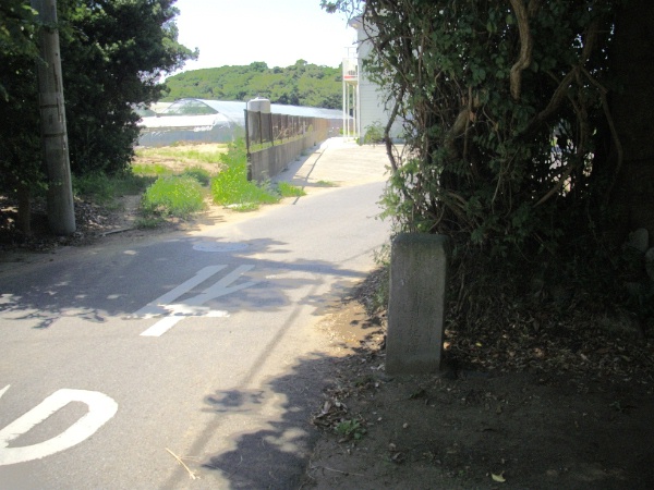 image0008