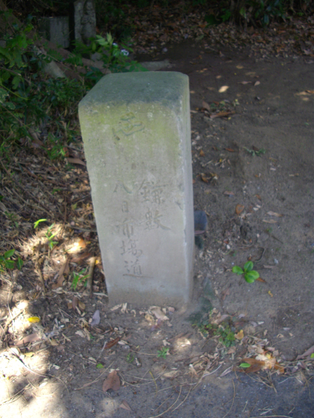 image0009