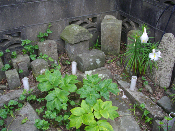 image0011