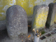 image0003