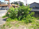 image0005