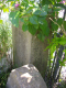 image0007
