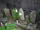 image0010