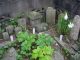 image0011
