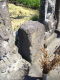 image0015