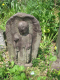 image0024