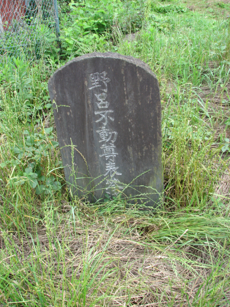 image0048