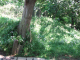 image0003