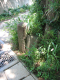 image0005