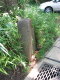image0006
