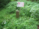 image0005