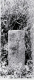 image0008