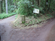 image0009