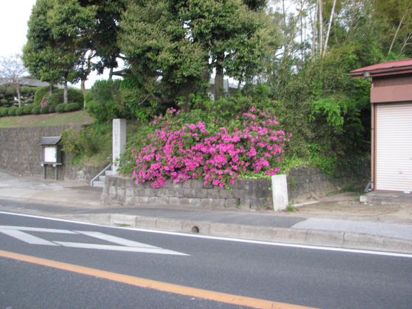 image0002