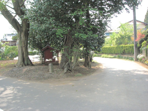 image0011