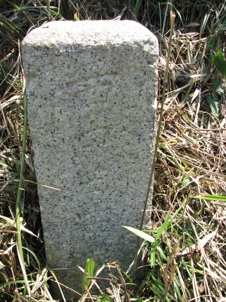 image0028