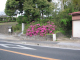 image0002