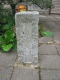 image0006