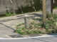 image0029