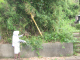 image0031