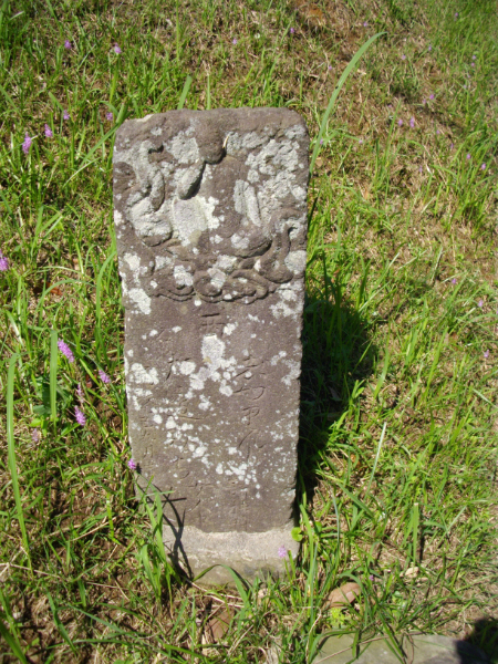 image0020