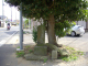 image0006