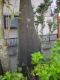 image0013