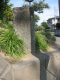 image0042