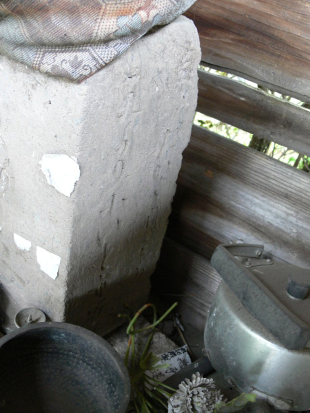 image0009