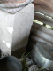 image0009